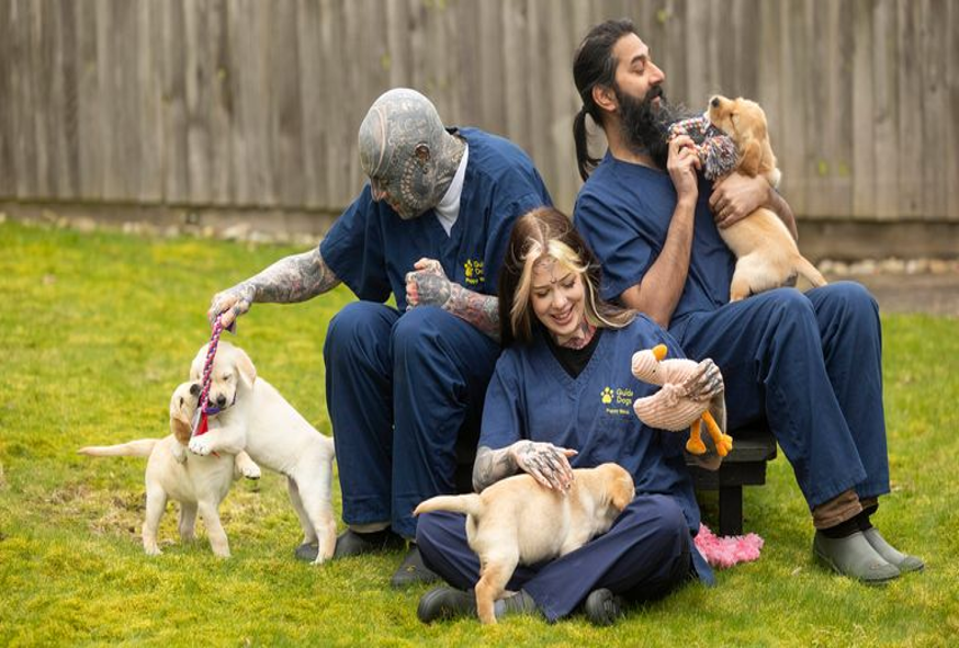 Guide Dogs project visual